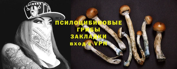 винт Кулебаки