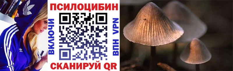 Купить закладки  Лысьва  Галлюциногенные грибы мицелий 