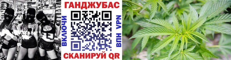 Купить где  Лысьва  Марихуана сатива 